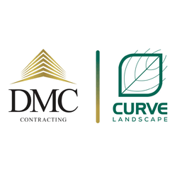 dmc_curve_log